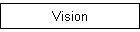 Vision